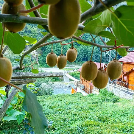 Nani Boutique & Aparthotel